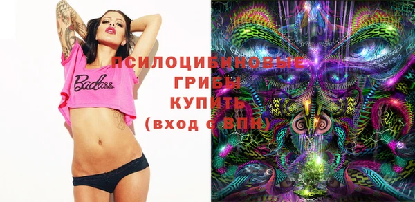 хмурый Россошь