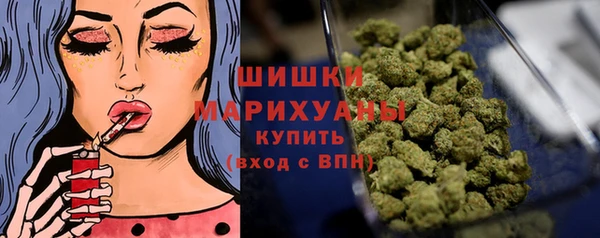 прущий лед Абаза