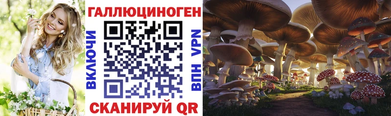Галлюциногенные грибы мицелий  закладка  Ак-Довурак 
